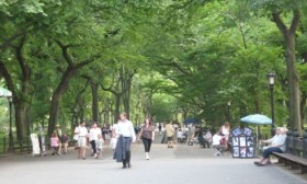 centralparkjuly27-630x380
